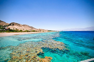 Mosh Beach