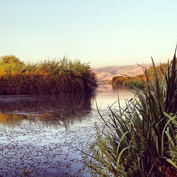 Hula Nature Reserve