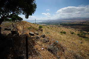 Galilee Israel Farm