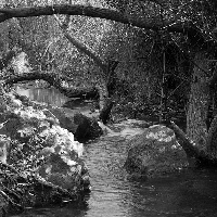 Majrasa Nature Reserve