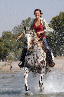Galilee Israel Ranch