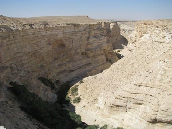 Abboud Tours