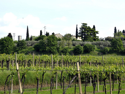 Castelnuovo Del Garda