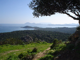 Province of Olbia-Tempio Italy Bar 
