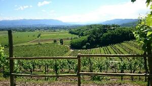 Province of Gorizia Italy Park