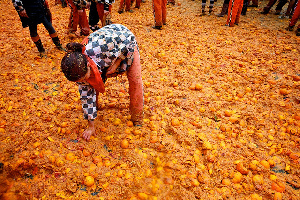 Orange Battle