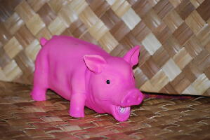 Le cochon rose
