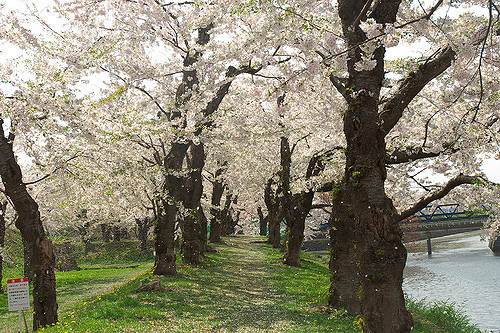 Hakodate Bugyosho