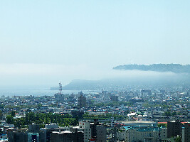 Kameda-gun Japan Park