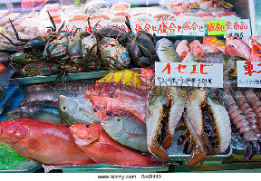 Okinawa Prefecture Japan Market