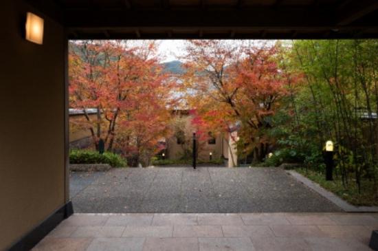 Saga Prefectural Museum