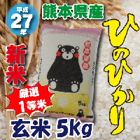 Kumamoto Prefecture Japan Market