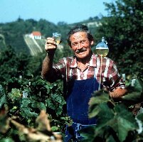 Tokaj