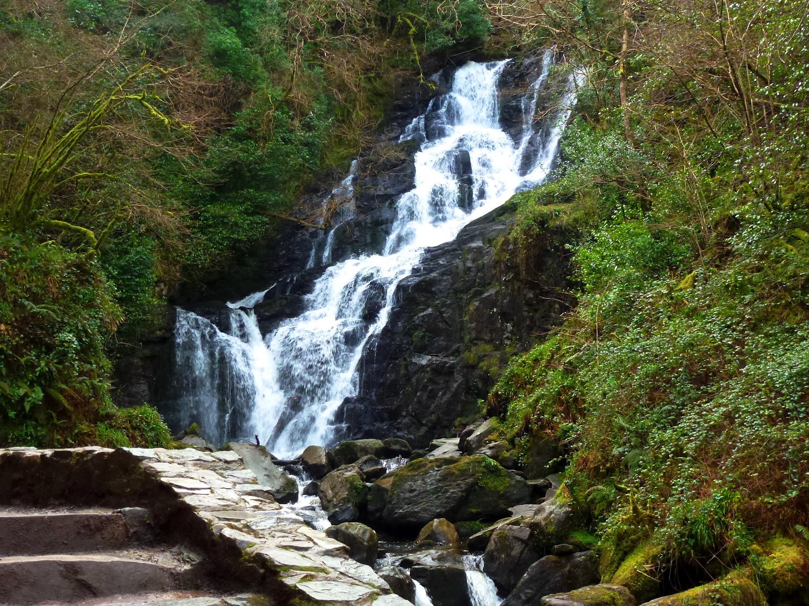 Torc Waterfall