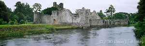 Desmond Castle