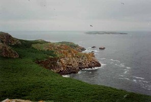 Great Saltee