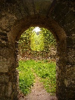 Avoca