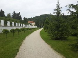 Monastery Rakovac