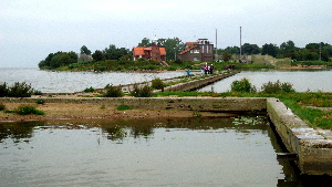 Vent?s rago ?vyturys