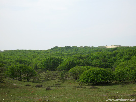 Bergen aan Zee