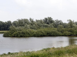 Duursche Waarden