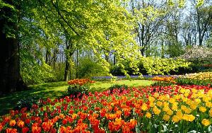 Hillegom Netherlands Garden