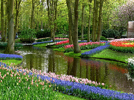 Lisse Netherlands Garden