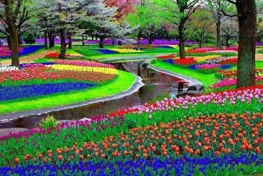Keukenhof Garden