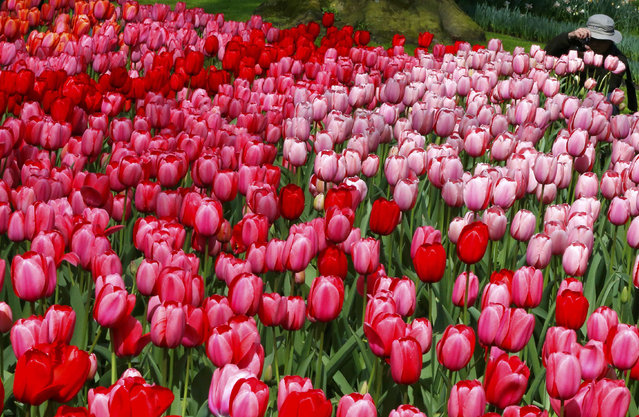 keukenhof park