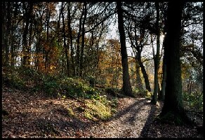 Heelsum
