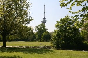 Rotterdam Netherlands Park