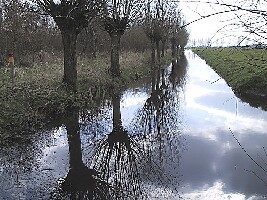 Schoonrewoerd