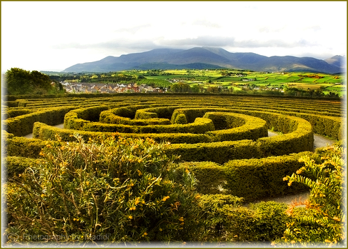 Castlewellan Forest Park