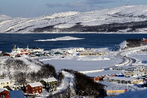 Lyngen