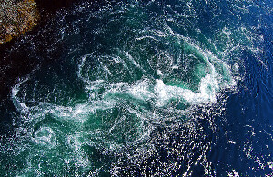 Saltstraumen