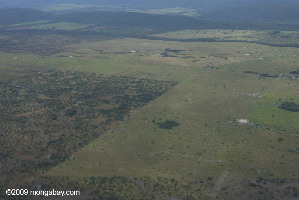 Cerrado Museum