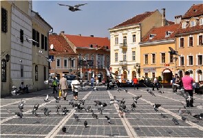 Bra?ov Romania Town