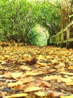 Rouken Glen Park