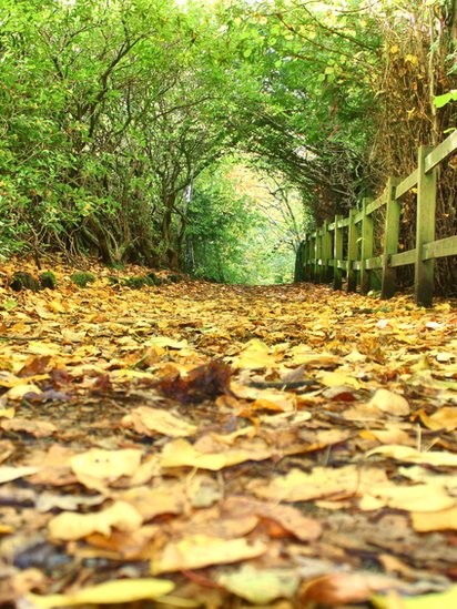 Rouken Glen Park