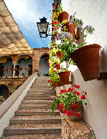 Calleja de las Flores