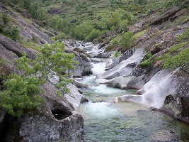 Pantano del Rosal