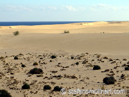 Maxorata Spain Natural Park