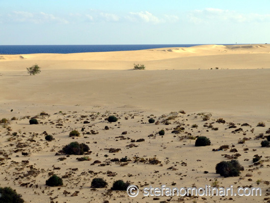 Corralejo Natural Park