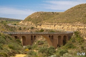 Turre