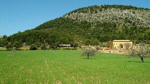 Son Brull Hotel and Spa