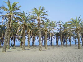 Playa