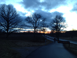 Johannelund