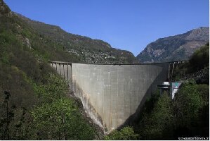 Tenero