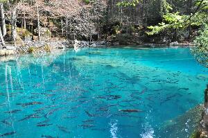 Blausee