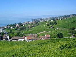 La Terrasse